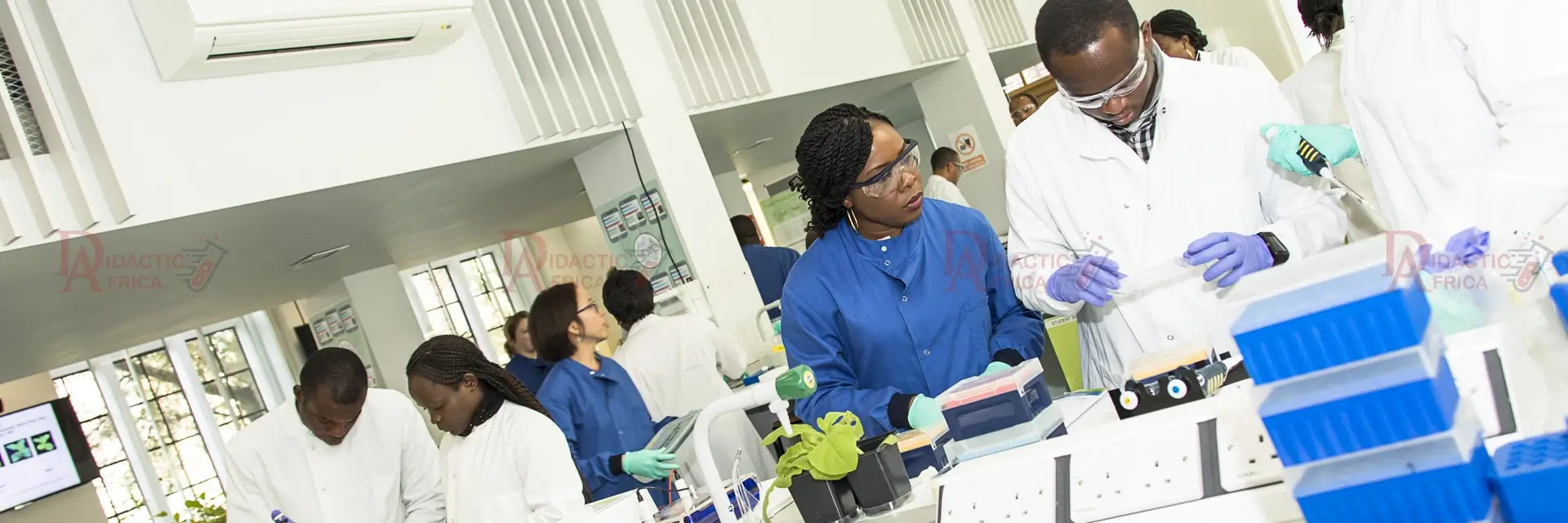 Microscope Manufacturers